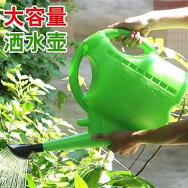 。家用交花容量农用大浇花洒塑料浇菜 撒包水壶水桶邮啥家用5