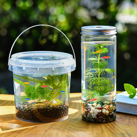 初中生物生态瓶diy材料自循环微景观科学作业生态玻璃鱼缸免打理