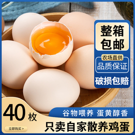 新鲜土鸡蛋40枚农家散养笨鸡蛋，农村自养天然柴鸡蛋草鸡蛋整箱