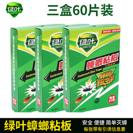 60张绿叶家用灭蟑板药蟑螂粘板杀灭蟑螂贴蟑螂屋粘捕板蟑螂贴