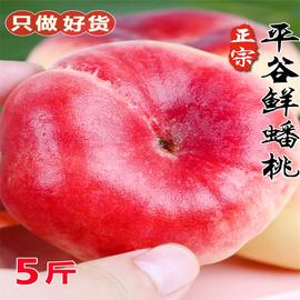 北京平谷蟠桃新鲜5斤水蜜桃当季水果脆甜大桃软桃子毛潘扁桃整箱3