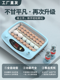 全自动小型孵化器小鸭家用智能，孵化机迷你孵蛋器鸡鹅鸟孵化箱保温