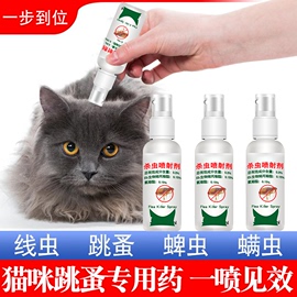 猫咪去跳蚤的专用药，体内外一体驱除杀虫剂，灭身上去虱子线虫药滴剂