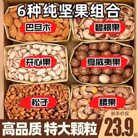 坚果礼盒组合整箱5斤混合干果坚果，零食大夏威夷果年货10