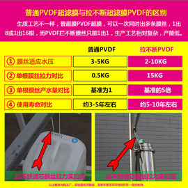 颂福不锈钢卡箍可手洗超滤膜净水器   厨房净水器 家用直饮净水机