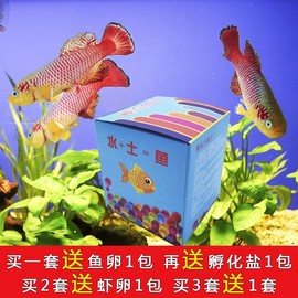 魔法小鱼鳉鱼可孵化小鱼太空，鱼套装青鳉水+土，=鱼热带鱼宠物鱼卵