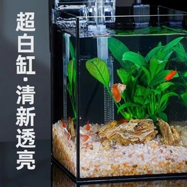 餐桌小鱼缸家用茶几水族箱缸造景全套生态艺术桌面网红精致小鱼缸