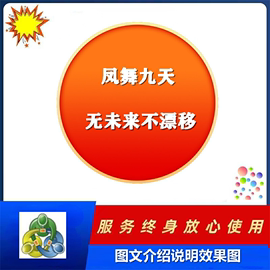 凤舞九天黄金二元视频实战课程教程入门基础知识神器趋势技术分析