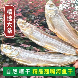 湖南特产野生河鱼干淡水小鱼干干货大号风干咸刁子鱼翘嘴鱼干500g