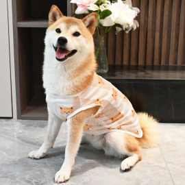 宠物狗狗衣服薄款四季春夏季泰迪柯基柴犬衣服防掉毛清凉透气背心