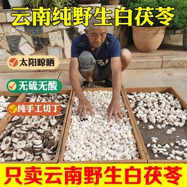 云南野生白茯苓500g伏苓茯神特级中药材无硫茯苓薄片