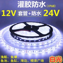 水池用灯带24V5050灌胶防水白光灯带12V渔船喷泉防水白光LED灯条