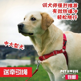 美国petsafeeasywalk宠物狗，防爆冲胸背带训练胸背，牵引绳项圈