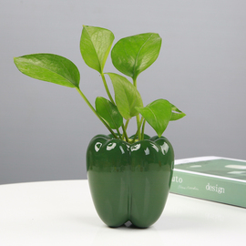 创意陶瓷绿萝水培花瓶现代简约器皿，家用客厅办公室鲜花插花小摆件