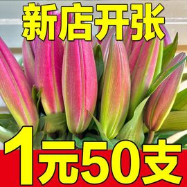 香水粉百合昆明基地直发水，养花家居红玫瑰，鲜花花束同城速递七夕节