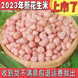 2023年花生米生新河南新货农家大颗粒新鲜白沙生(白沙生)花生仁