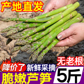 芦笋新鲜5斤小嫩笋当季绿龙须，蔬菜青笋尖三白紫笋南荻笋产地