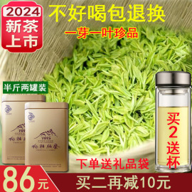 2024新茶250g江西遂川狗牯脑，茶春茶绿茶特级高山毛尖珍品罐装