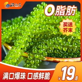 渔知乐盐渍海葡萄即食海藻菜网红凉拌菜裙带菜海鲜蔬菜海草海带