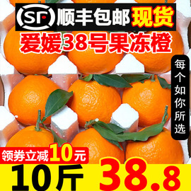 四川爱媛38号果冻橙，10斤橙子新鲜当季水果柑橘蜜桔子整箱