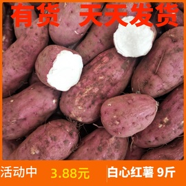 助农粉面番薯红皮白心，红薯新鲜地瓜干瓤生山芋水果，蔬菜圆红苕9斤