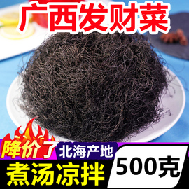 广西北海发财菜500g海鲜，干货海藻菜海带丝新鲜凉拌菜海发菜特产