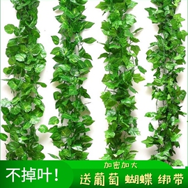 仿真绿植绿萝叶藤条吊顶藤蔓壁挂，葡萄叶塑料(叶塑料，)假花婚庆家居装饰花藤