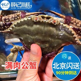 5-8两1只北京闪送鲜活满肉公母梭子蟹螃蟹，海蟹海鲜水产飞蟹