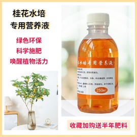 桂花树苗水培专用营养液家金桂四季桂，丹桂盆栽植物浓缩水溶花肥料