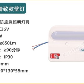 劳士国消95891_13防灯x应急新灯LED停电应壁急照明灯墙壁挂应