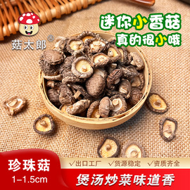 菇太郎小香菇珍珠菇干货，一级迷你袖珍无膜金钱菇西峡农家特产