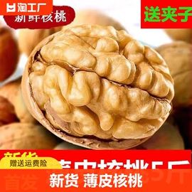 2023年新疆薄皮核桃坚果，薄皮大核桃原味185纸皮核桃生