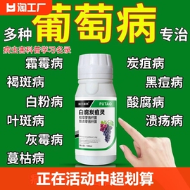 葡萄树专用药黄叶白粉病软腐病烂穗烂籽葡萄病微生物园艺喷雾