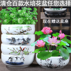 花盆陶瓷水仙花水养铜钱，草睡莲碗莲金钱草，无孔植物一叶莲大口径盆