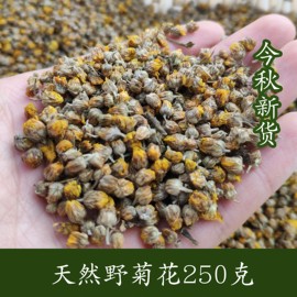 23年秋 新货特级天然野菊花茶野生小野菊米茶装枕头散装 中药材