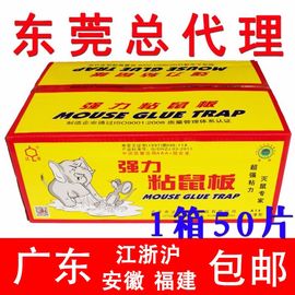 达豪A1#标准型粘鼠板强力大老鼠贴鼠胶50片装（1箱）限广东省