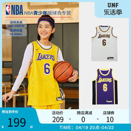 nba球衣湖人队詹姆斯6号同款青少年学生大童运动训练篮球服