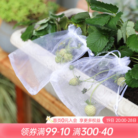 海蒂的花园 草莓蓝莓套袋透气防虫防鸟可循环使用家庭果蔬保护袋