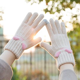 手袜女冬保暖冬天可爱手套女冬可爱韩版学生触屏双层加绒加厚。