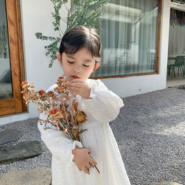 韩国童裙春秋女童蕾丝纯棉连衣裙韩版长袖儿童公主裙洋气纯色裙子