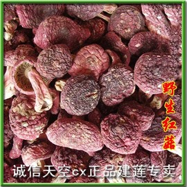 野外生正红菇A级食用蘑菇100g福建武夷山邵武特产干货