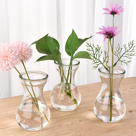风信子水培瓶创意简约玻璃器皿绿萝水仙花植物花盆，摆件客厅插花瓶