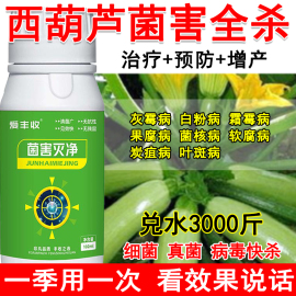 西葫芦杀菌剂西葫芦病全治杀菌药生物肥料全杀灰霉病白粉病霜霉病