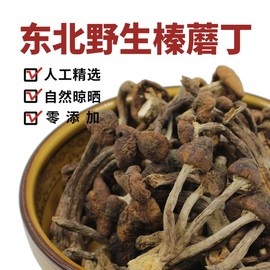 东北特产长白山野生榛蘑干货级，小鸡炖香菇，新货无根蘑菇丁珍菌500g