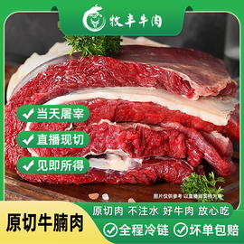 牛腩肉 新鲜原切牛腩肉 山西黄牛3/5斤 现宰年货生鲜