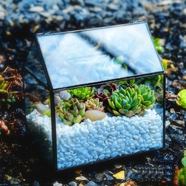 永生花多肉植物透明玻璃花房房子，形花器花盆，绿植创意微景观生态瓶