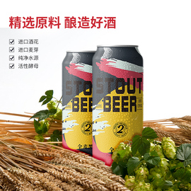 蕴酿之林精酿啤酒500ml*12听装500ml*9罐黑啤酒整箱罐装德国工艺