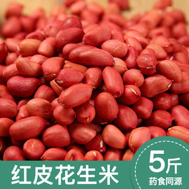 2023年新红皮(新红皮)花生米，生新货新鲜特产商用小粒，红衣四粒红花生仁5斤