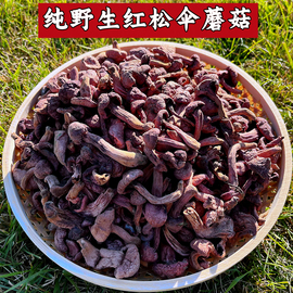 野生松树伞蘑菇红蘑菇丁干红(丁，干红)松蘑鸡血肉，蘑菌菇炖煲汤干货东北特产