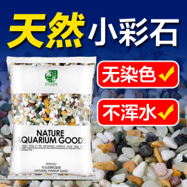 天然彩石鱼缸造景沙雨花石头水族专用铺底溪流石装饰水草石英底砂